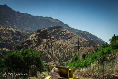 «هه‌نار» داستان صالح، پیرمرد ۶۵ ساله اهل روستای بلبر هورامان