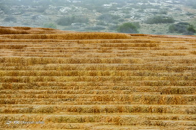 باداب سورت چشمهٔ پلکانی