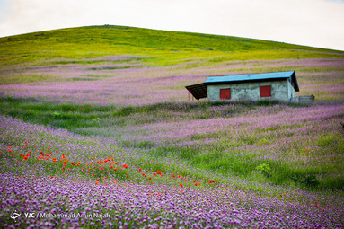 قطعه‌ای از بهشت در گردنه‌های خلخال