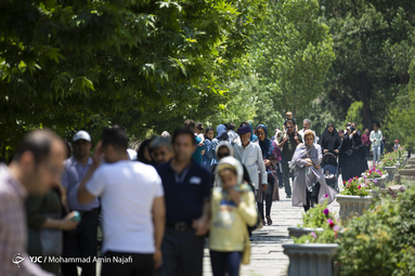 میهمانان تابستانی آبشار گنجنامه