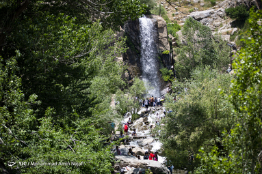 میهمانان تابستانی آبشار گنجنامه