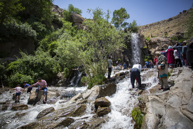 میهمانان تابستانی آبشار گنجنامه