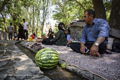 میهمانان تابستانی آبشار گنجنامه