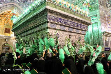 گلباران حرم شاه چراغ در روز میلاد حضرت معصومه(ع)