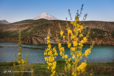 نخستین دوره جامع آموزش خبرنگاری در بحران ویژه خبرنگاران، تصویربرداران و عکاسان خبری رسانه‌های جمعی