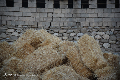 خسارات زلزله روستای گل‌گیر مسجدسلیمان