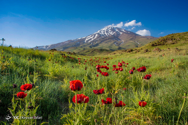 ایرانِ ما؛ گنبد گیتی، دماوند