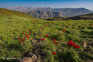 ایرانِ ما؛ گنبد گیتی، دماوند