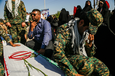 بازگشت ۴۴ پرستوی مهاجر به آغوش وطن