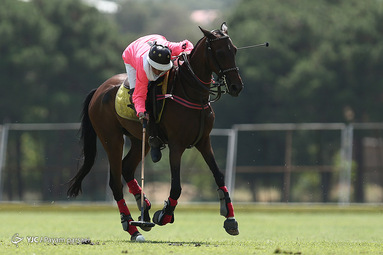 رقابتهای چوگان جام شیرین