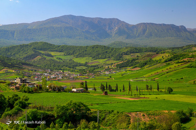 جنگل‌های هیرکانی/ طبیعت جنوب گرگان در گلستان