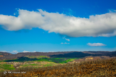 جنگل‌های هیرکانی/ روستای سرکت ساری