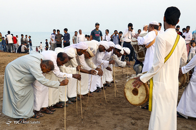 نوروز صیاد قشم
