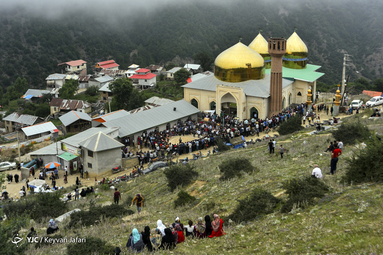 کشتی لوچو