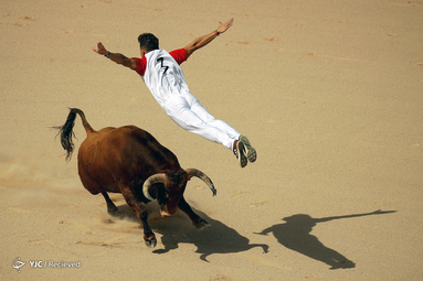 فستیوال San Fermin در پامپلونا، اسپانیا