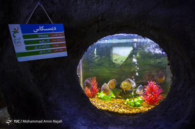 ایرانِ ما؛ غار آکواریوم دهکده گنجنامه