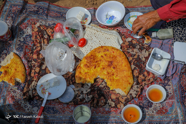 برداشت سنتی گندم