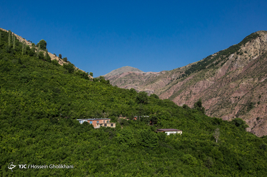 ایرانِ ما؛ روستای فشک از توابع الموت استان قزوین/ مرکز فندق و ذغال اخته ایران