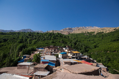 ایرانِ ما؛ روستای فشک از توابع الموت استان قزوین/ مرکز فندق و ذغال اخته ایران