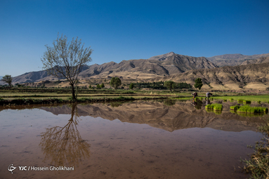 ایرانِ ما؛ روستای فشک از توابع الموت استان قزوین/ مرکز فندق و ذغال اخته ایران