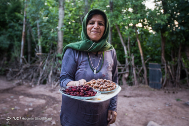 ایرانِ ما؛ روستای فشک از توابع الموت استان قزوین/ مرکز فندق و ذغال اخته ایران
