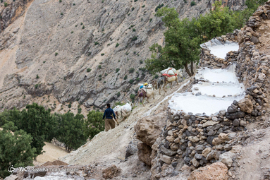 چشمه نمک روستای سرآقاسید