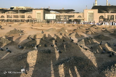مدینه منوره در آستانه مناسک حج