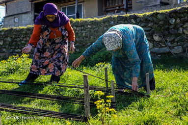 کارچاله نوعی از پارچه بافی سنتی و هنر دست زنان روستای «بالاجاده» از توابع کردکوی استان گلستان است.