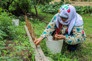 کارچاله نوعی از پارچه بافی سنتی و هنر دست زنان روستای «بالاجاده» از توابع کردکوی استان گلستان است.
