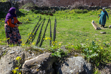 کارچاله نوعی از پارچه بافی سنتی و هنر دست زنان روستای «بالاجاده» از توابع کردکوی استان گلستان است.