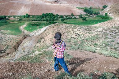 محمد صالح ،پسر یک خانواده عشایر که مشغول چراندن گوسفدان است. فرزندان در عشایر هر یک وظیفه ای در خانواده دارند، روستای نیاکان 