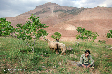 عارف که از شهرکرد به روستای پدری خود آمده و تابستان خود را با چراندن گوسفندان میگذراند، روستای نیاکان