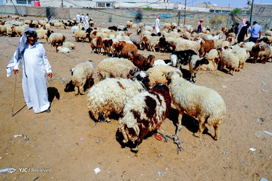 عید قربان در عراق