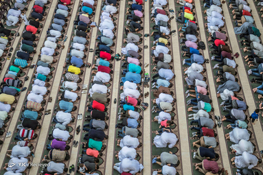 نماز عید قربان در مصر