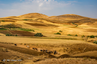 کشاورزان، جهادگران عرصه خودکفایی