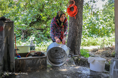 شیره انجیر