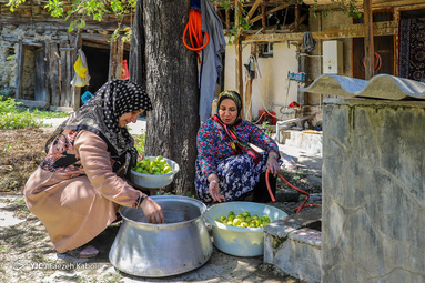 شیره انجیر