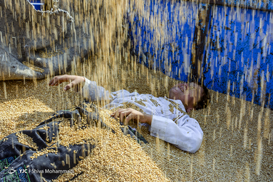 آدم و حوا؛ اشرف مخلوقات