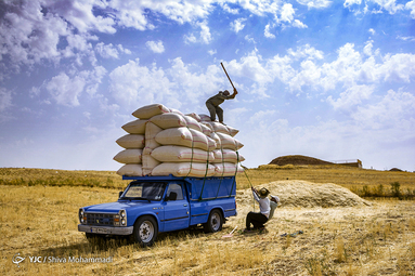 آدم و حوا؛ اشرف مخلوقات