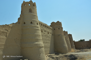 رونمایی از سردیس هنرمندان