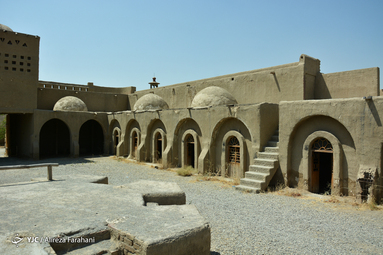 رونمایی از سردیس هنرمندان