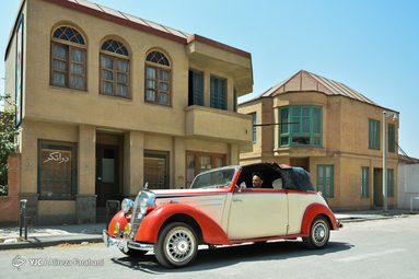 رونمایی از سردیس هنرمندان