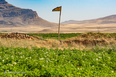 بیرق رزق