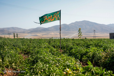 بیرق رزق
