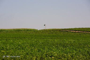 بیرق رزق