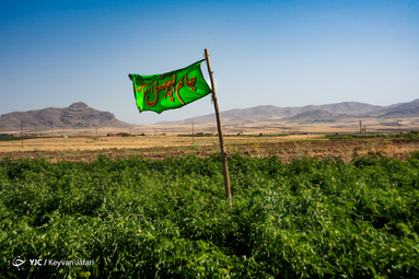بیرق رزق