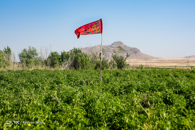 بیرق رزق