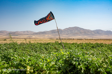 بیرق رزق