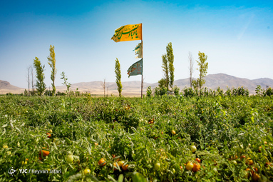 بیرق رزق