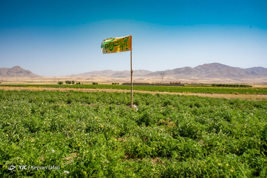 بیرق رزق